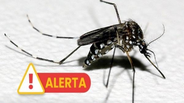 Governo do RS antecipa repasse de recursos contra a dengue para municípios