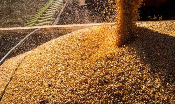 Conab: produção de grãos deve crescer 17,4% na safra 2022/2023