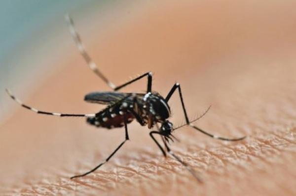 Rio Grande do Sul registra terceira morte por dengue em 2023