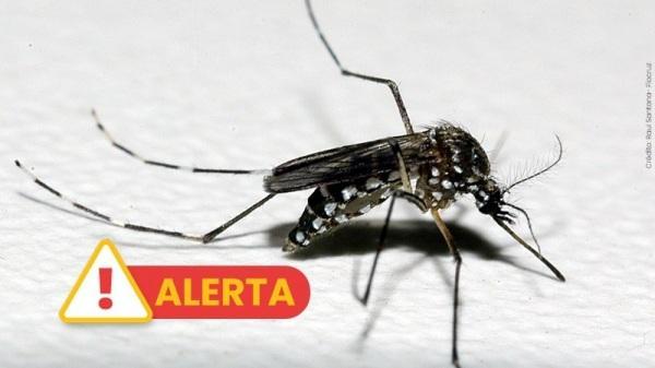 Vigilância em Saúde monitora aumento de casos de dengue no RS em 2024