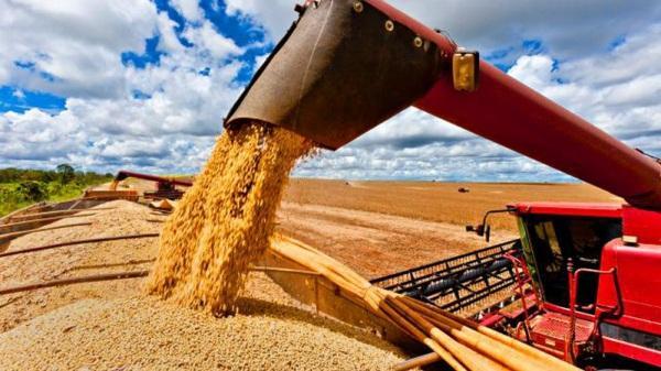 Conab aponta para produção de 40,18 milhões de toneladas de grãos no RS