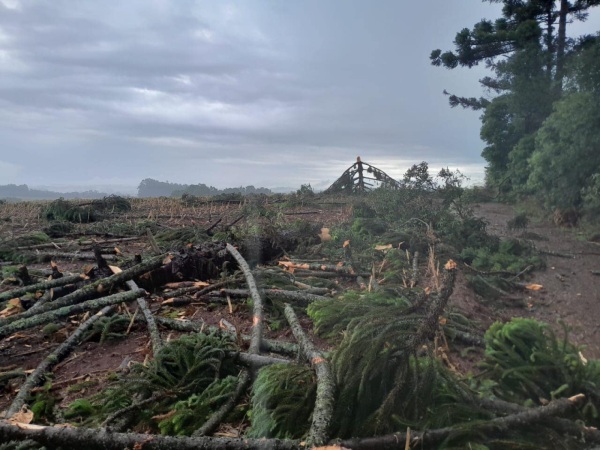 Chuva acompanhada de ventos causa estragos em Quinze de Novembro