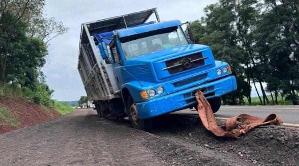 Caminhão transportando suínos causou interrupção na BR 158 em Panambi