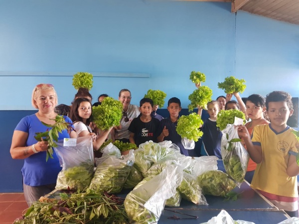 Alunos da Escola Intendente Vasconcelos Pinto fazem colheita de verduras