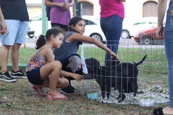 Canil Municipal lança campanha adote um animal