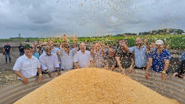 Colheita do Milho foi oficialmente aberta no Estado