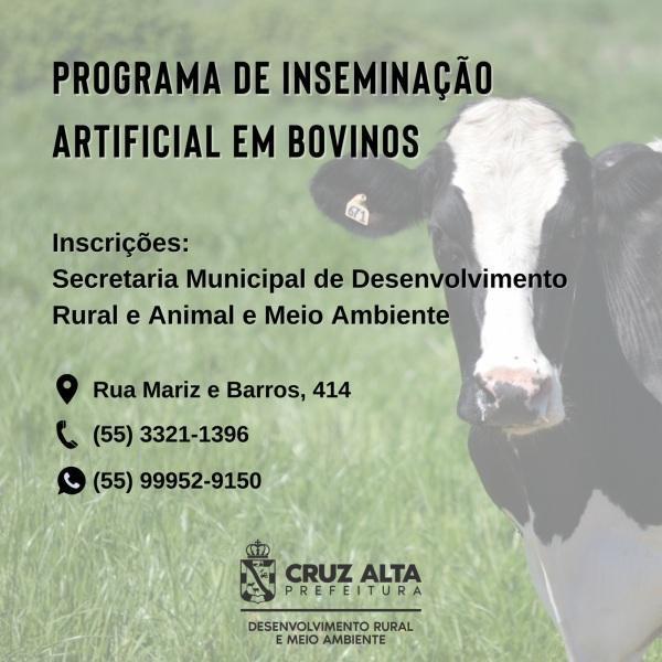 Seguem abertas inscrições para o programa de inseminação artificial de bovinos
