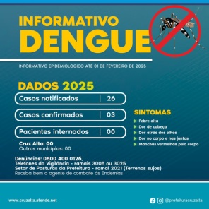 DENGUE> Cruz Alta tem 03 casos confirmados , 26 notificados e nenhum internado