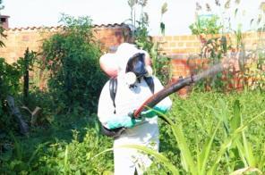 VILA LIZABEL: Saúde realiza bloqueio químico contra o mosquito da Dengue