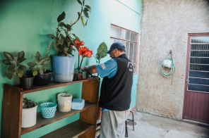 OVITRAMPAS>Armadilhas contra o mosquito da Dengue são instaladas em 03 bairros