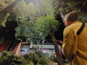 Corpo de Bombeiros começou a poda de árvores em frente a Estação Rodoviária