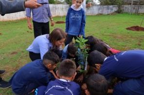 Projeto Cultivando Saberes busca estimular criação de áreas verdes nas escolas