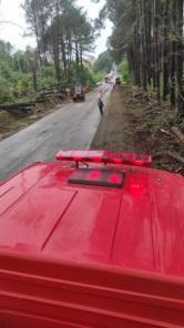 Queda de árvores interditaram a BR 285, em Panambi; transito já está liberado