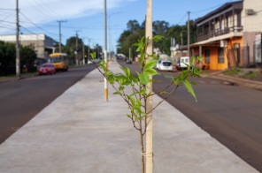 MODERNIZAÇÃO> Av. Xavantes Requalificada com Cerejeiras e Ciclovia