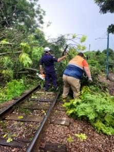 SEXTA SANTA: Forte Temporal derruba árvores e assusta moradores de Cruz Alta 